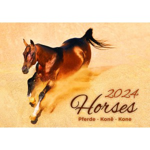 Falinaptár  45x31,5  2024 HORSES lovak H152