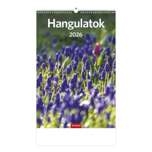 Falinaptár 22 x 33 2026  HANGULATOK  Kicsi  T094-12
