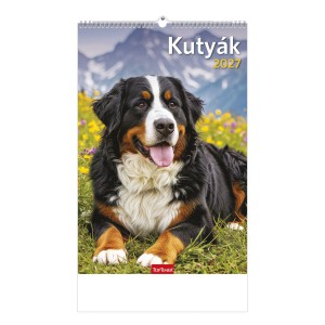Falinapt&aacute;r 22 x 33 2027  KUTY&Aacute;K  T094-10