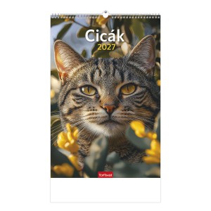 Falinapt&aacute;r 22 x 33 2027  CIC&Aacute;K  T094-11