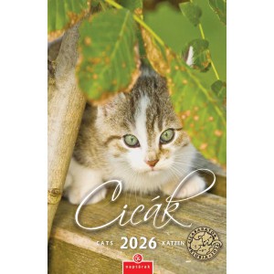 Falinaptár CSG 21 x 32 2026  CICÁK  FN 089