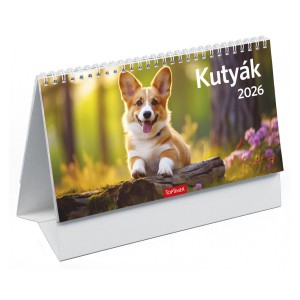 Képes asztali naptár midi 24x12,8 2026  KUTYÁK álló papírtáblás  T0581P