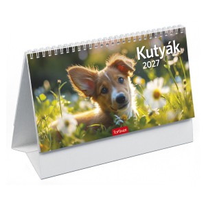 K&eacute;pes asztali napt&aacute;r midi 24x12,8 2027  KUTY&Aacute;K &aacute;ll&oacute; pap&iacute;rt&aacute;bl&aacute;s  T0581P