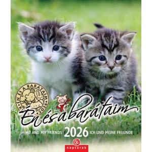 Falinaptár CSG 19 x 22 2026  ÉN ÉS BARÁTAIM  FN U05