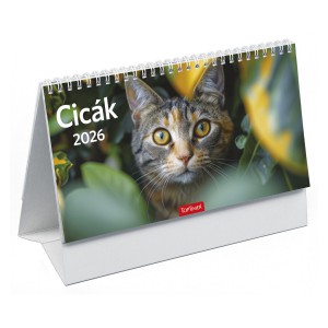 Képes asztali naptár midi 24x12,8 2026  CICÁK álló papírtáblás  T0585P