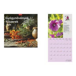 Falinaptár lemez 29 x 58 2026  GYÓGYNÖVÉNYEK,FŰSZEREK   T098-16