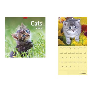 Falinaptár lemez 29 x 58 2026  CATS  T098-002