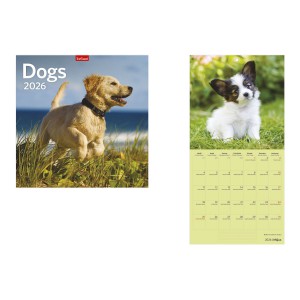 Falinaptár lemez 29 x 58 2026  DOGS  T098-006