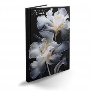 Heti agenda REALSYSTEM B5  2026  PICTURE írisz 60