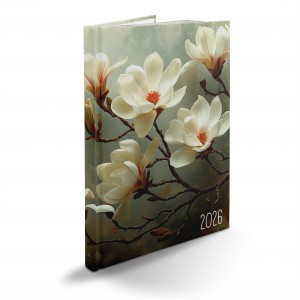Heti agenda REALSYSTEM B5  2026  PICTURE magnólia 62