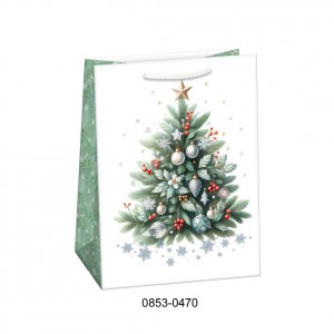 Dísztasak ARGUS 23x32 T5 karácsonyi vegyes  0853,0856,0857