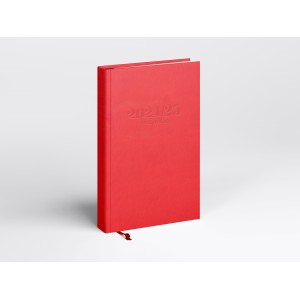TANÁRI zsebkönyv REAL S  20242025 egyszínű piros