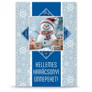 Képeslap ARS UNA borítékos exluzív karácsonyi 3D   K40