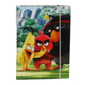 Füzetbox A5 Angry Birds