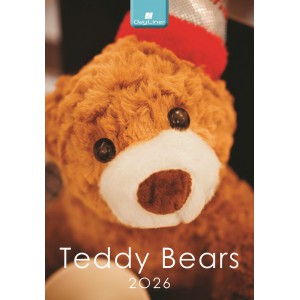 Falinaptár Day Liner 23X33 2026  TEDDY
