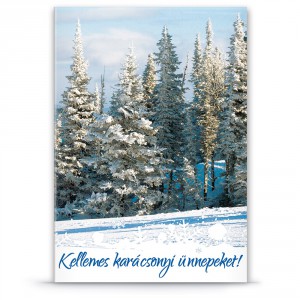 Képeslap ARS UNA LC6 borítékos karácsonyi  E 13