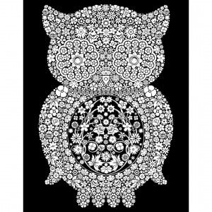Kreatív kép COLORVELVET "OWL" XL 50*70 cm, flokkolt felületű, színezhető XL5