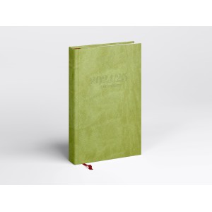TANÁRI zsebkönyv REAL S  20242025 egyszínű világos zöld