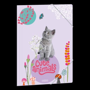 Gumis mappa ARS UNA A4 Cute Animals-Kitten 5368 24