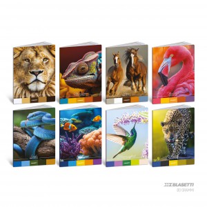 Füzet BLASETTI A4 80g kockás 42lap ANIMAL PALETTE 2025 10 dbcsg 8948