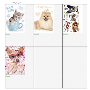 Gumis mappa POLMAK A4  vicces &aacute;llatok TA4_OG_721  10dbcsg