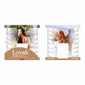Falinaptár T090-09  22x22 mágneses kétheti 2026  LOVAK
