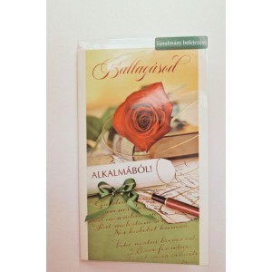 K&eacute;peslap 6 ARGUS 18-6009 Ballag&aacute;sod alkalm&aacute;b&oacute;l! R&oacute;zsa z&ouml;ld masnival