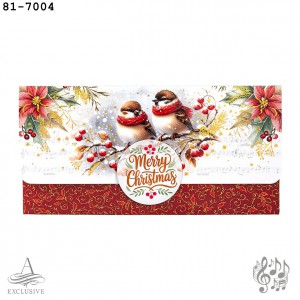 Bor&iacute;t&eacute;k Argus Zen&eacute;lő  LA4 20x10cm kar&aacute;csonyi Merry Christmas felirat madarakkal 81-7004